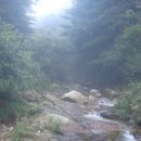 청산농원 이미지