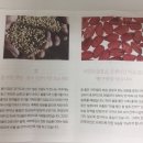 상분이스킨 이미지