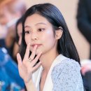 파라파라 이미지