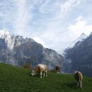 세계의 명소 - 라우터브루넨, 벤겐 스위스 알프스를 음미하는 방법 이미지