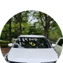 슬릭 - 창원시 마산합포구 교방동 | 기아 스포티지 와이퍼 교체 후기(메이튼 슬릭 와이퍼)