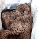 신정농산 이미지