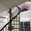 별똥별펜션 | 횡성 로즈오브 샤론펜션/내돈내산후기/별똥별 본 곳