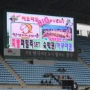 현대대명모터스 이미지