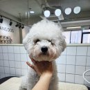 대교미용실 이미지