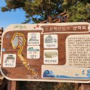 세븐일레븐 강릉아들바위점 | [강릉 소돌항,남애비치]더 글로리 촬영지, 아들바위공원