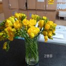 천진요양병원 이미지