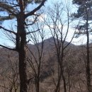 전주대성초등학교 이미지