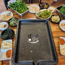 만경오리