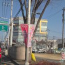 지니아트홀 | 로미 공주의 성장 일기, 프린세스 티니핑 뮤지컬 대구 천마아트홀 관람 후기