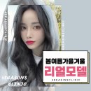 봄여름가을겨울피부과의원 - 강남구 가로수길 79 | 봄여름가을겨울피부과의원