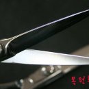 재규어헤어 이미지