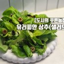 도시농장 | [정보공유] '도시의 푸른농장' 무농약 유러피안 상추 샐러드 구입 후기(샐러드 추천)