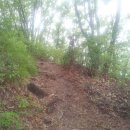 대구복명초등학교 이미지