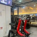 바디플렉스짐 송정역점 | [송정역 헬스장] 바디플렉스짐 송정역점 일일입장 후기