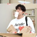 호이테커피