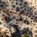 큰소낭 작은돌집 | 숲놀이터 숲속돌집, 자연과 예술이 만나는 제주도 독채펜션 감동 후기