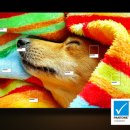 삼성네거리 이미지