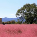 주식회사 라한호텔(경주) 이미지