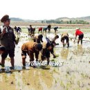 덕흥농장 이미지