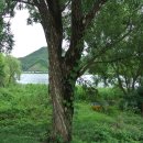 다산길영농조합