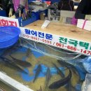 자매횟집 네이버블로그
