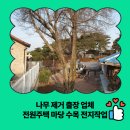 전지1리 | 나무 제거 출장 업체 전원주택 마당 수목 전지작업
