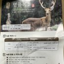 상록원 사슴농장 이미지