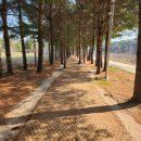 덕산온천 이미지