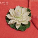 가락동피부관리 수앤샵 위치.가격.시간.후기