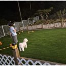 더블루네스 이미지