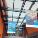 아프리칸아트 | [여수 여행] 아쿠아플라넷 후기 (주차·할인·운영시간 꿀정보)