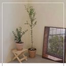 카페샌드 - 연수구 신송로 170 | 카페샌드