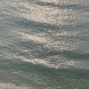 박가활어 이미지