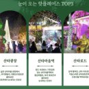 청도군-18 | 청도 가족여행 프로방스 빛축제 내돈내산 후기