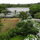 카멜리아힐 이미지