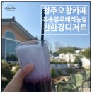 유송블루베리농장 이미지