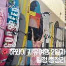 하와이마트 | 🌺 하와이 와이키키 2일차 여행기(다이아몬드 헤드 · 와이키키 해변 · 불꽃놀이)