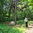 7월 정기 산행 공지 및(심학산 산행 사진) 이미지