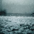 (주)사운드메이트 이미지