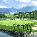 노벨CC골프연습장 이미지