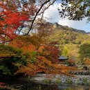 백양사 및 내장사 트레킹 : 입암산 및 병풍산 산행 후 불타는 단풍을... 이미지