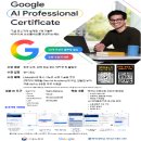 Google AI Professional Certificate 이미지