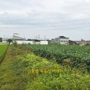 성덕동-7 이미지