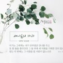 새이름 이미지