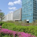 향교아파트 입구 티스토리