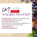 화계식품