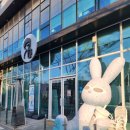 디저트39당진 | 간식) 디저트39 두쫀쿠 후기 내돈내산 두바이쫀득쿠키 정식출시