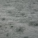 고담낚시터 이미지