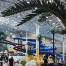 ktigers 삼성태권도장 이미지